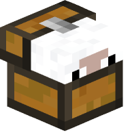 White Sheep in Chest