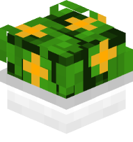 Potted Bush with Orange Flowers