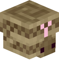 Desert Snake 2 (upside down)