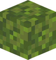 Moss Block