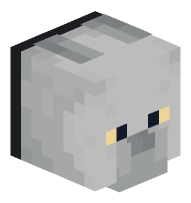 Cat (British Shorthair, black collar)