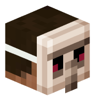 Man with Iron Golem Mask