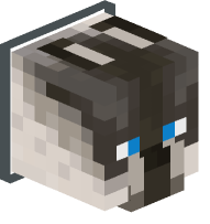 Collared Siamese Cat (gray)