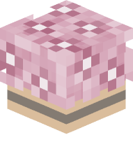 Potted Cherry Blossom