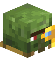 Cartographer Zombie Villager