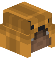 Bayek (Roman Centurion Outfit)