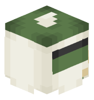 Aveeno (Daily Moisturizing Lotion)