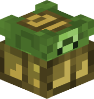 Tortoise (stuck on back)