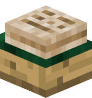 Open Book (right page)