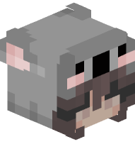 Girl in Koala Costume