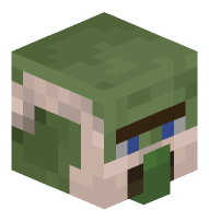 Librarian Zombie Villager