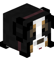 Bernese Mountain Dog