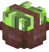 Basket of Sugar Cane