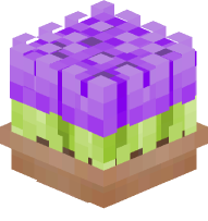 Potted Tulips (Purple)