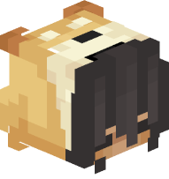 Girl with Doge Costume