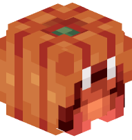 Hermit Crab in a Pumpkin