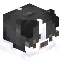 Border Collie (Black)