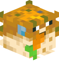 Pufferfish with Carrot