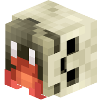 Hermit Crab in a Skull