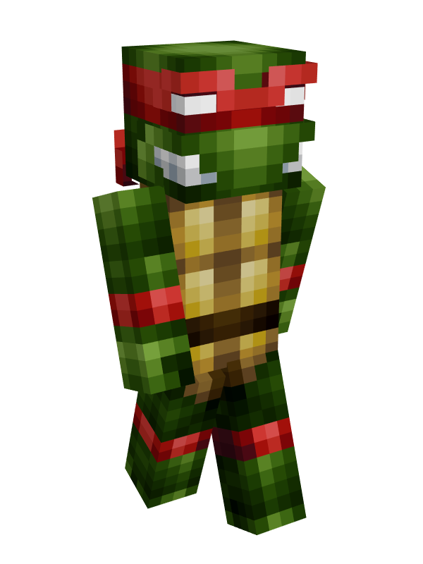 Turtle ninja